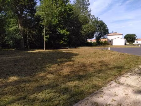 terrain viabilise cadre boise