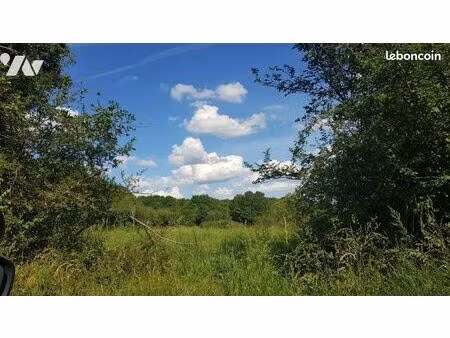 terrain 12054 m² mennetou sur cher