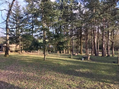 vente terrain à bâtir en drapeau - environnement calme et boisé
