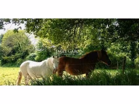 propriété bagnoles de l'orne normandie (61)