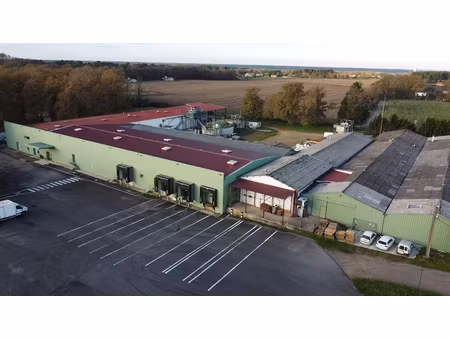 industrie sarbazan 8000 m²