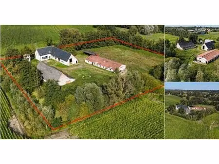 ferme à vendre à kaaslei 2 beerzel (rbr99031)