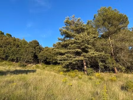 vente terrain 2610 m² baudinard-sur-verdon (83630)