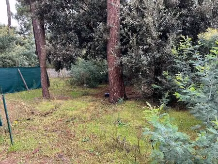 vente terrain 546 m² le grand-village-plage (17370)