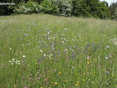loue terrain pour animaux