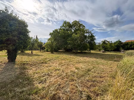 terrain bernardswiller à vendre