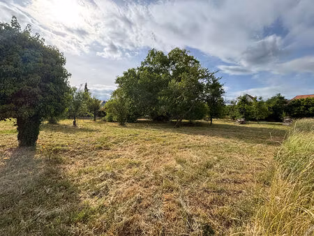 terrain bernardswiller à vendre