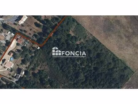 vente terrain à connerré (72160) : à vendre / 17414m² connerré