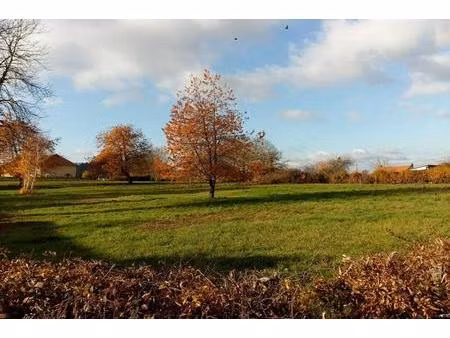 terrain à bâtir - 1 240 m²