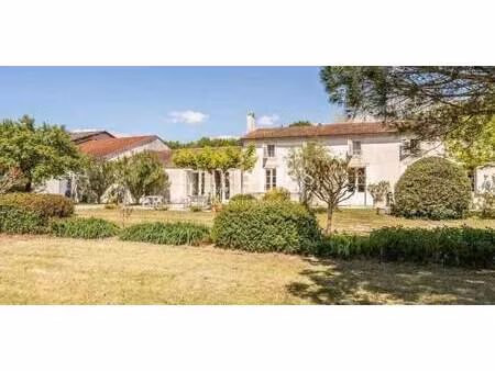 vignoble bégadan (33)