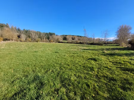 exclusivite beaux ! belle parcelle de 3600 m2 constructible avec vue dégagée