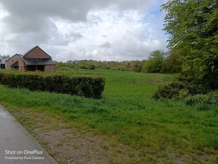 magnifiques terrains à cerfontaine