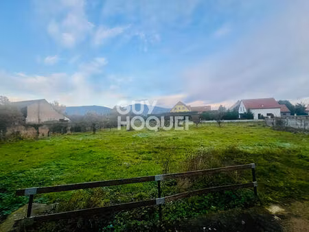 annonce immobilière : terrain constructible de 11a 18ca à scherwiller