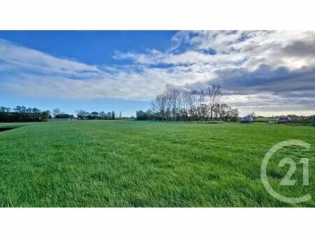 terrain à vendre - 6716 m2 - triaize - 85 - pays-de-loire