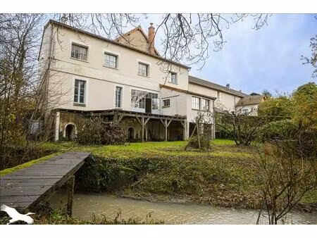 vente maison 10 pièces 412 m² orbigny (37460)