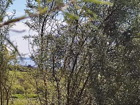 vente terrain 831 m² telgruc-sur-mer (29560)