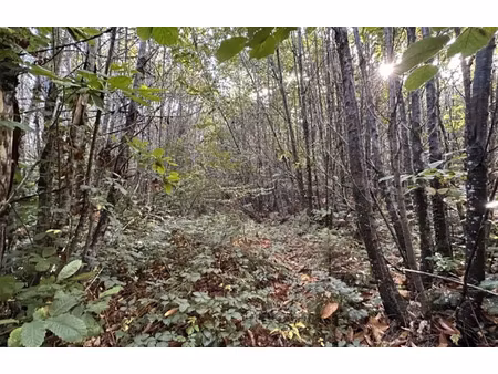 vente terrain 1050 m² à marsac-sur-l'isle (24430)  58 000 €