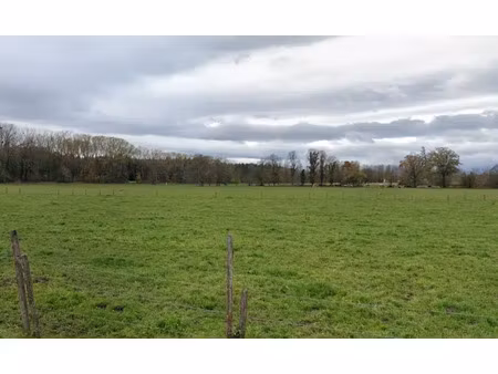 terrain industriel de 5000 m² à louer en befa