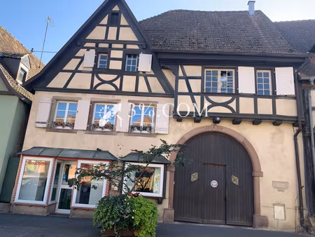 maison 250 m² commerce et appartement