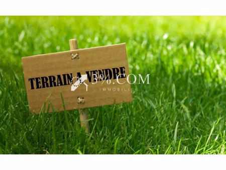 terrain constructible