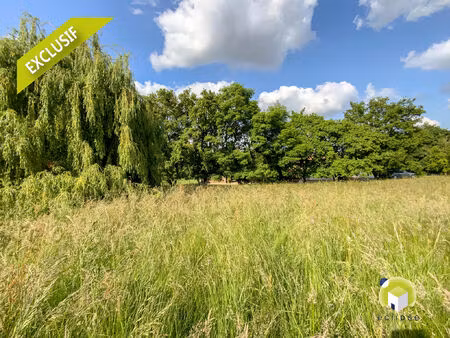 vente terrain 1372 m² saint-cyr-sur-menthon (01380)