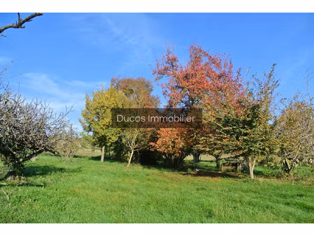 aux portes de marmande