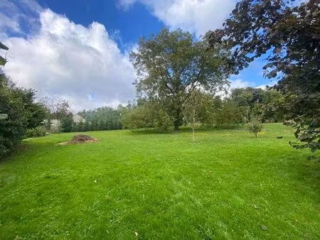 superbe terrain sur les hauteurs de moha