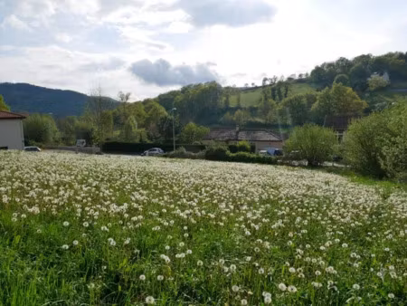 vente terrain 1065 m² à livinhac-le-haut (12300)  34 000 €