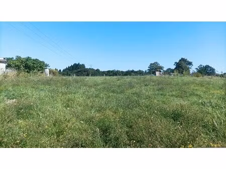 terrain constructible semi-viablilisé 1782m²