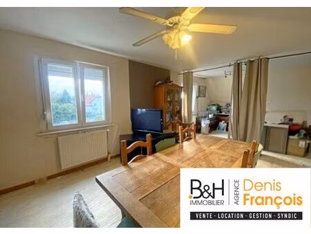 appartement 3 chambres avec jardin à hilsenheim