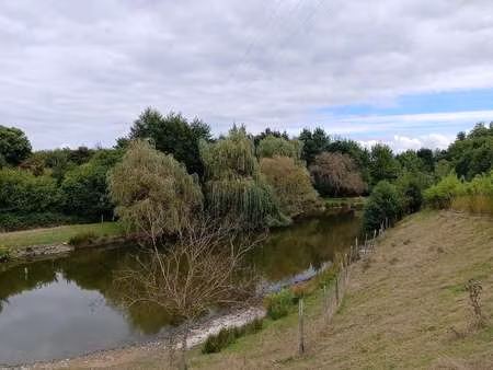 vente terrain à saint-pierre-montlimart (49110) : à vendre / 1500m² saint-pierre-montlimar