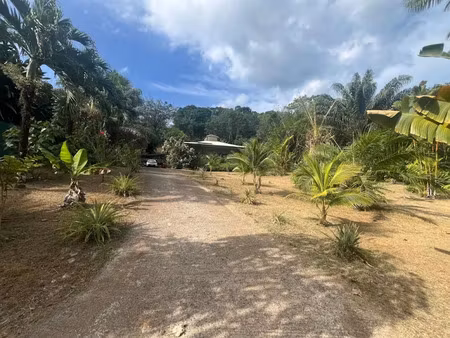 vente maison 5 pièces 150 m² à matoury (97351)  424 000 €