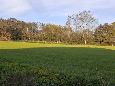 vente terrain athos-aspis 64390 - - surface privée