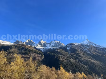 vente locaux professionnels 57 m² à chamonix-mont-blanc (74400)  250 000 €