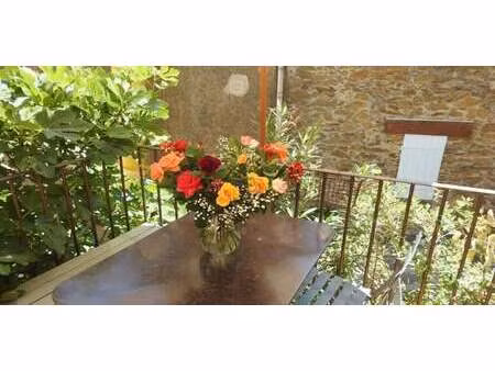 maison avec terrasse bormes-les-mimosas (83)