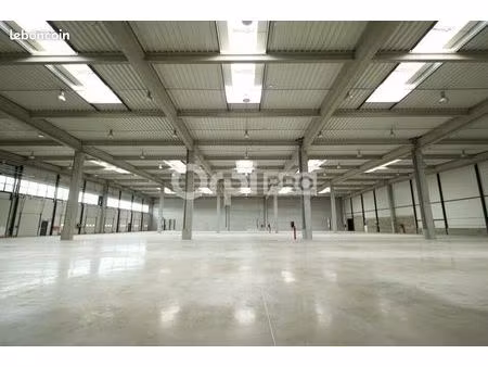 local d'activité 9 623 m²