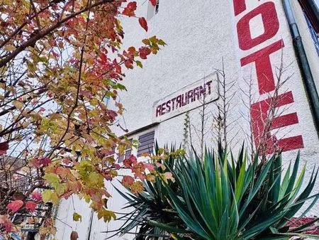 local 520 m² pont-sur-yonne