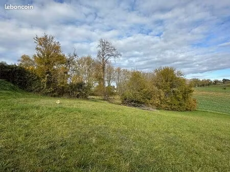 terrain 6 005 m² belmont