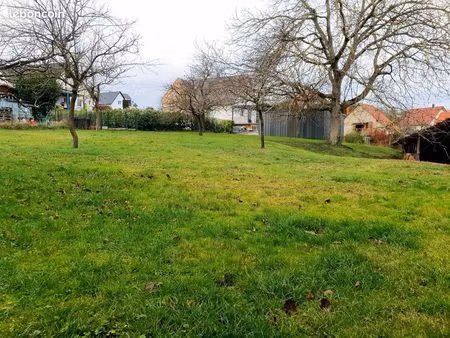 terrain 1057 m² mutzenhouse