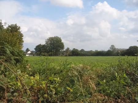 vente terrain 10000 m² à saint-palais (03370)  55 000 €