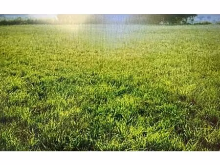 terrain créquy m² t- à vendre  28 500 €