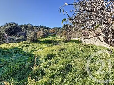 terrain à vendre - 556 m2 - piana - 201 - corse
