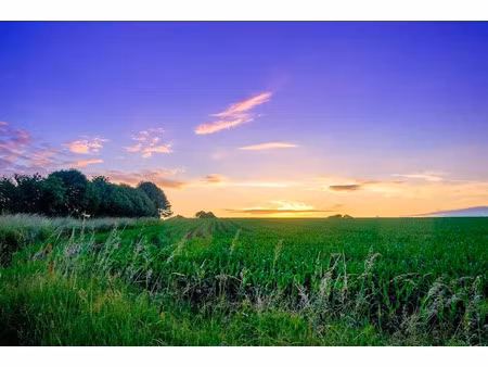 vente terrain 2008 m² à choussy (41700)  20 000 €