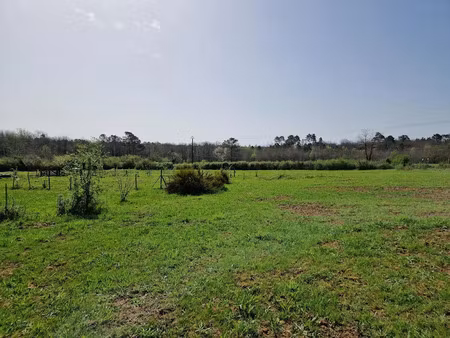 vente terrain 10000 m² à le bugue (24260)  169 992 €