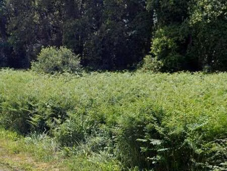 vente terrain à besné (44160) : à vendre / 880m² besné