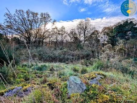 vente terrain à monteneuf (56380) : à vendre / monteneuf