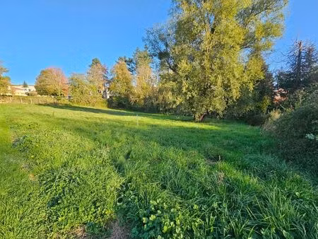 vente terrain 2205 m² panissières (42360)