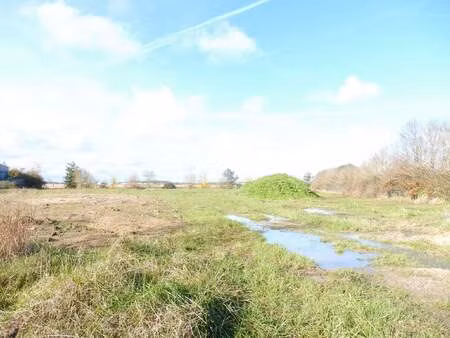 vente terrain 5219 m² sainte-catherine-de-fierbois (37800)