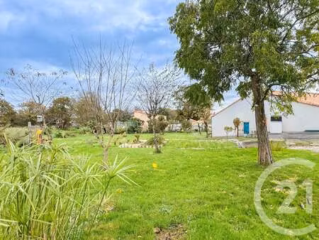 vente terrain à sainte-foy (85150) : à vendre / 682m² sainte-foy