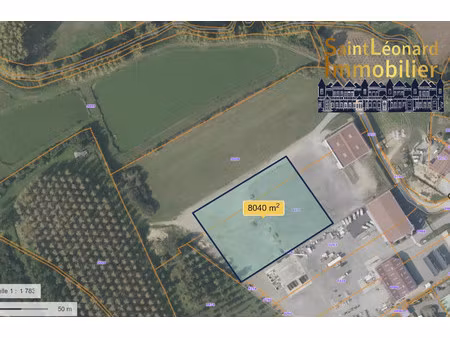 saint etienne en cogles